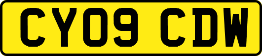 CY09CDW