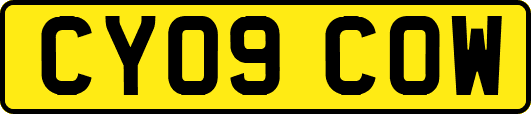CY09COW