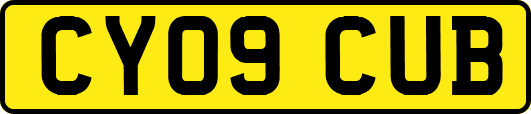 CY09CUB