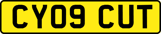 CY09CUT