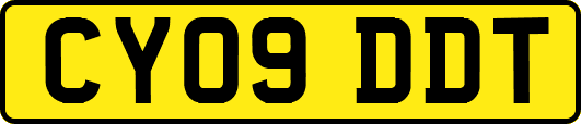 CY09DDT