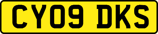 CY09DKS
