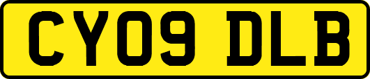 CY09DLB