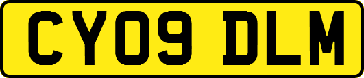 CY09DLM
