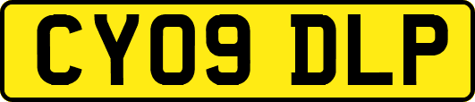 CY09DLP