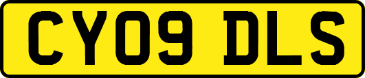 CY09DLS