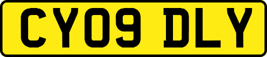 CY09DLY
