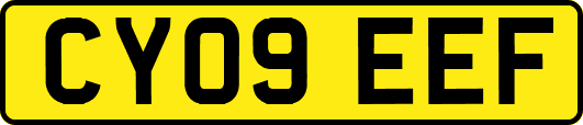 CY09EEF