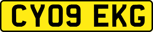 CY09EKG