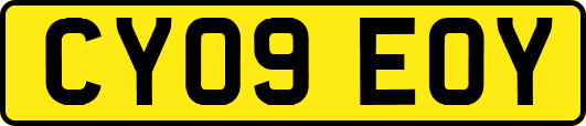 CY09EOY