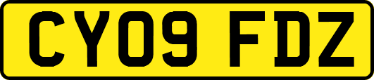 CY09FDZ
