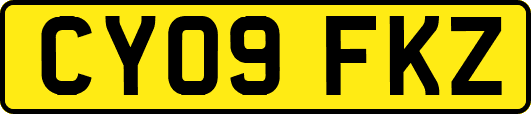 CY09FKZ