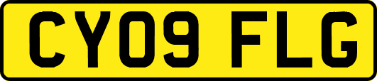 CY09FLG
