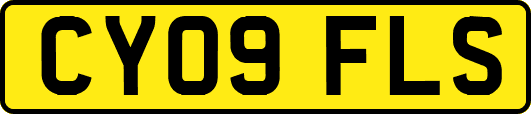 CY09FLS