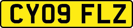 CY09FLZ