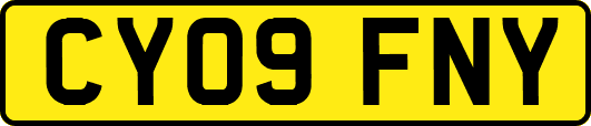 CY09FNY