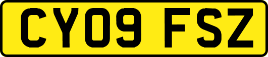 CY09FSZ