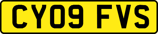 CY09FVS