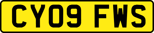 CY09FWS