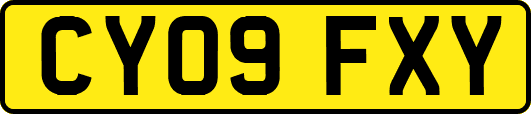 CY09FXY