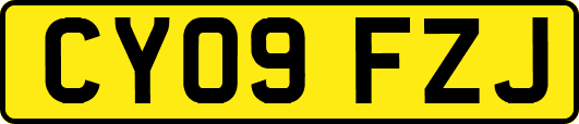 CY09FZJ