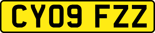 CY09FZZ