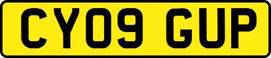 CY09GUP