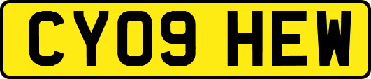 CY09HEW