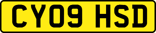 CY09HSD