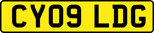 CY09LDG