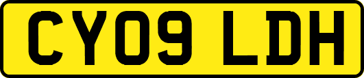 CY09LDH