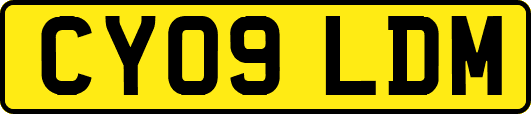 CY09LDM