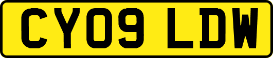 CY09LDW