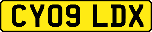 CY09LDX