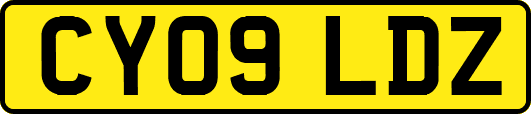 CY09LDZ
