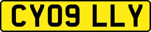 CY09LLY