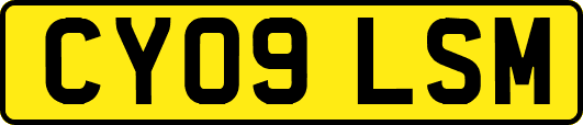 CY09LSM