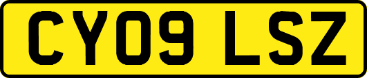 CY09LSZ