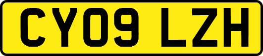 CY09LZH