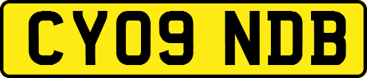 CY09NDB
