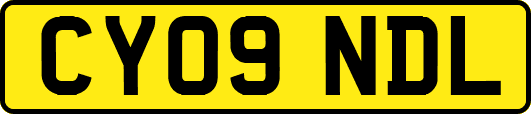 CY09NDL