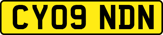 CY09NDN