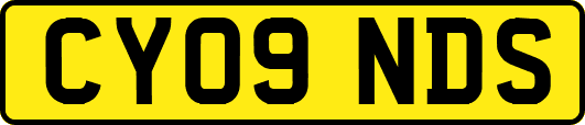 CY09NDS