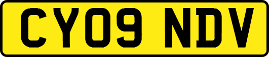 CY09NDV