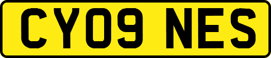 CY09NES
