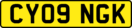 CY09NGK