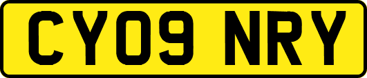 CY09NRY