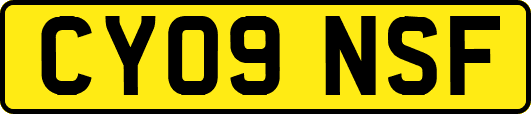 CY09NSF