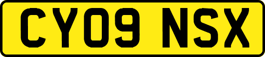 CY09NSX