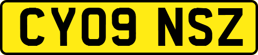 CY09NSZ
